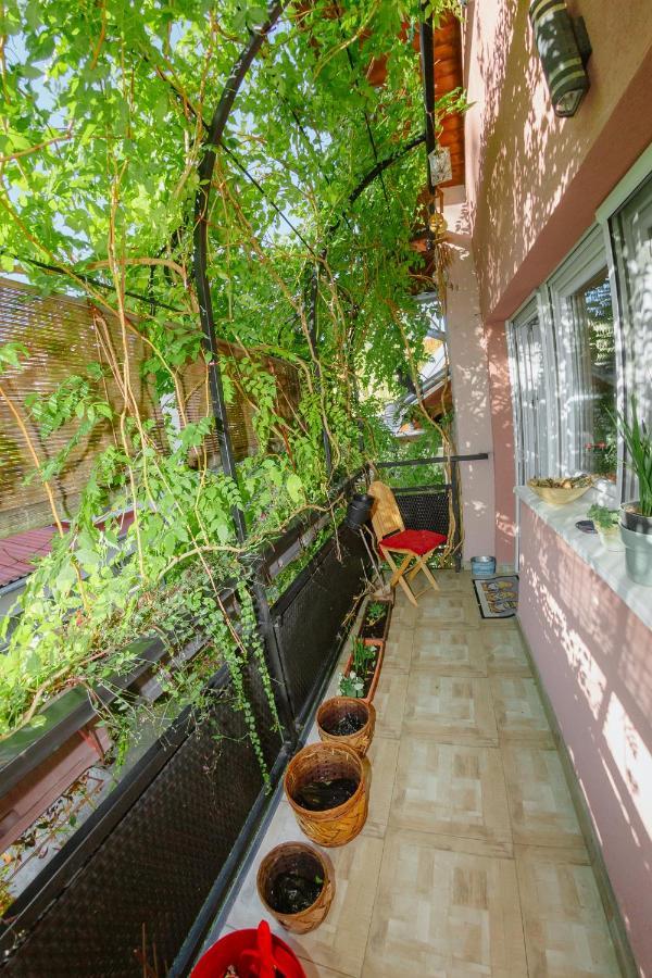Apartman Zamak Sombor Esterno foto