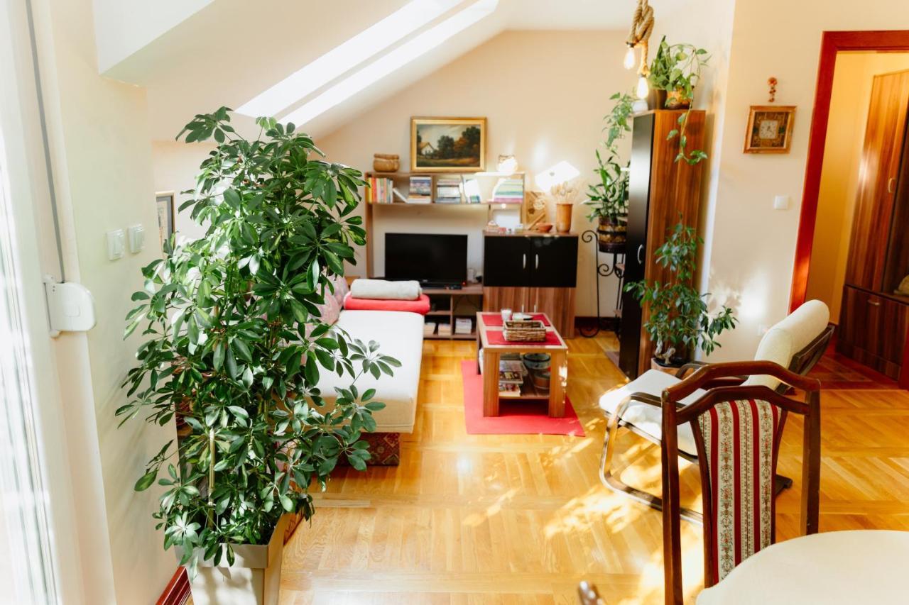 Apartman Zamak Sombor Esterno foto